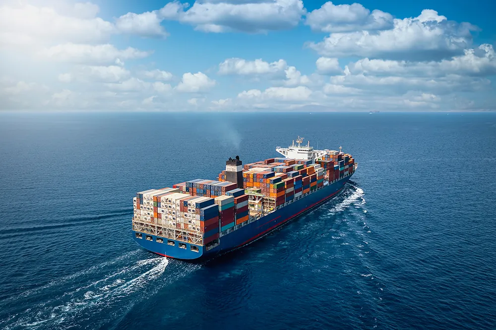 Regional Trade Agreements are meant to facilitate international trade, but a new study shows they are also reinforcing inequality and accelerating ecological damage