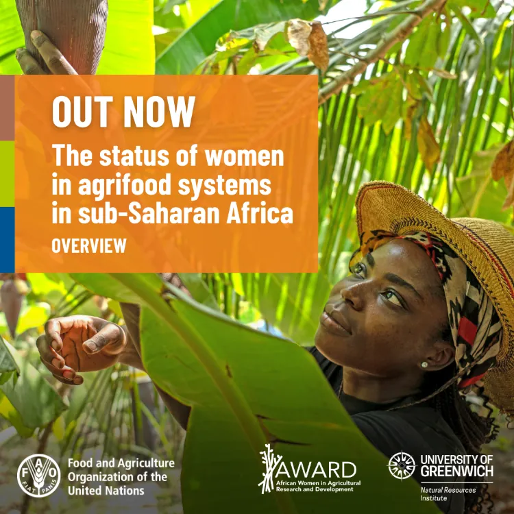 Announcement: Out now – The status of women in agrifood systems in sub-Saharan Africa overview. Includes logos for FAO, AWARD, and University of Greenwich. Shows a woman in a straw hat working among banana plants.