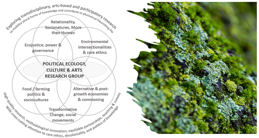 Diagram showing the theory of change for the Political Ecology, Culture and Arts Research Group.